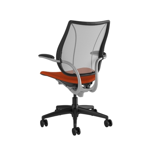 L - Silver Frame with Black Trim